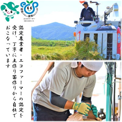 もっちり甘い! 　茨城県ミルキークイーン　しづくのしずく　5kg【1102648】