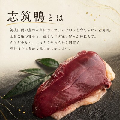 å¿ç鎚ã®éªšä»ãã¢ã¢èã®ã³ã³ãã£ã500gããã¯(2ã4æ¬) | 鎚 ãã èšåçããã¿ãããåžãé
éäžå¯å°åïŒé¢å³¶ãã1448787ã