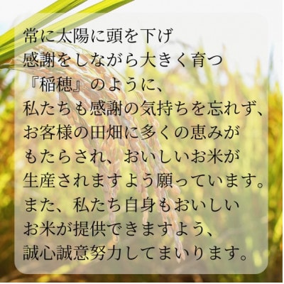 【毎月定期便】極上ふるさと米　精米5kg全3回【配送不可地域：離島・北海道・沖縄県】【4081538】
