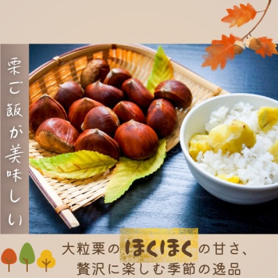 2026年産!大粒生栗 先行予約受付中 かすみがうら市産　生栗　3Lサイズ 2kg【配送不可地域：離島】【1437715】