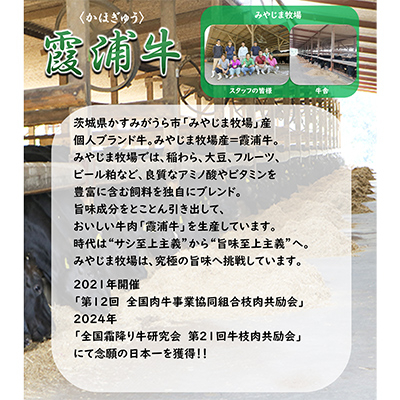 霞浦牛(かほぎゅう)　サーロインステーキ4枚セット　(約200g×4)【配送不可地域：離島】【1364336】