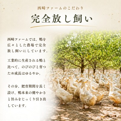 å¿ç鎚ã®éªšä»ãã¢ã¢èã®ã³ã³ãã£ã500gããã¯(2ã4æ¬) | 鎚 ãã èšåçããã¿ãããåžãé
éäžå¯å°åïŒé¢å³¶ãã1448787ã