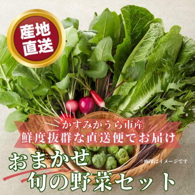 かすみがうら市産 旬の野菜おまかせセット 7〜9種(2〜3名様分)【配送不可地域：離島】【1604066】