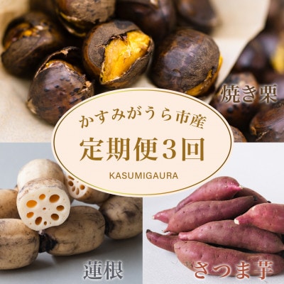 【発送月固定定期便】茨城県 特産品3種全3回【配送不可地域：離島】【4062740】