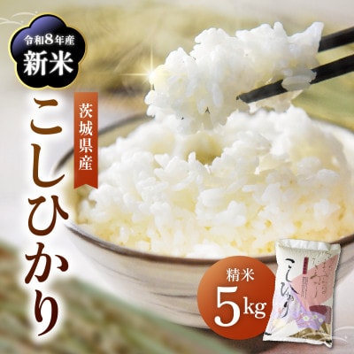 令和8年産 新米 コシヒカリ 精米  5kg | こしひかり お米  茨城県かすみがうら市産【1268974】