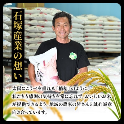 令和8年産 新米 コシヒカリ 玄米 10kg | こしひかり お米 おこめ 茨城県産【1630961】