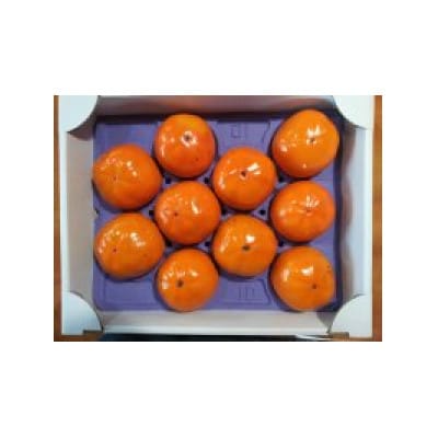 大ぶりの完全甘柿「陽豊」3.5kg以上(10〜12個)【1529273】