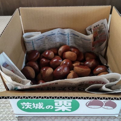 ã2026幎10æçºééå§ãç£å°çŽé!ä¹
ä¿ç°ææš¹åã®çæ 3Lãµã€ãºçŽ3kgãé
éäžå¯å°åïŒé¢å³¶ãã1428287ã