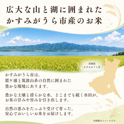 ãæ¯æå®æäŸ¿ãèšåçããã¿ãããç£ã粟米ãã³ã·ãã«ãª10kgå
š3åã4076524ã
