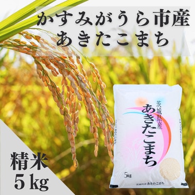 令和7年産かすみがうら市産あきたこまち  精米  5kg【1666718】