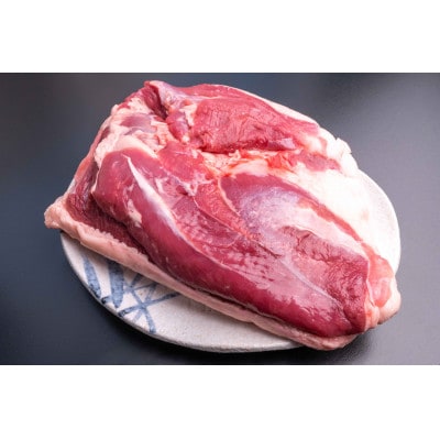 鴨鍋の素4人前(鴨スープとムネ肉1羽分(2枚)のセット)【配送不可地域：離島】【1706049】