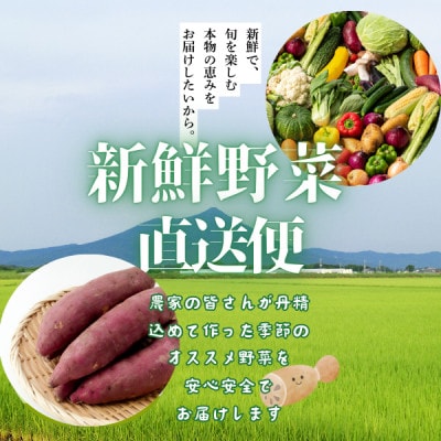 かすみがうら市産 旬の野菜おまかせセット 7〜9種(2〜3名様分)【配送不可地域：離島】【1604066】