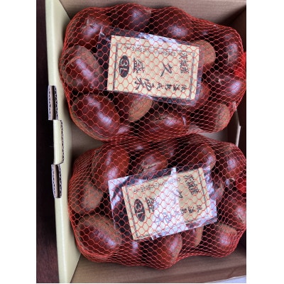 縺九☆縺ソ縺後≧繧牙クら肇 辭滓先3L縲2kg縲1564550縲