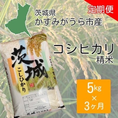【毎月定期便】茨城県かすみがうら市産　精米　コシヒカリ5kg全3回【4076522】