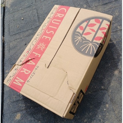 さつまいも(紅はるか)5kg【1597505】