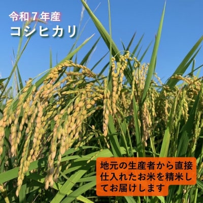 令和7年産　茨城県かすみがうら市産　精米　コシヒカリ　10kg【1662549】