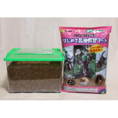 ã«ããã ã·å¹Œè«ãã£ã¬ã³ãžé£Œè²ã»ãã(5å¹)ããªã¹3å¹/ã¡ã¹2å¹ãã1487108ã