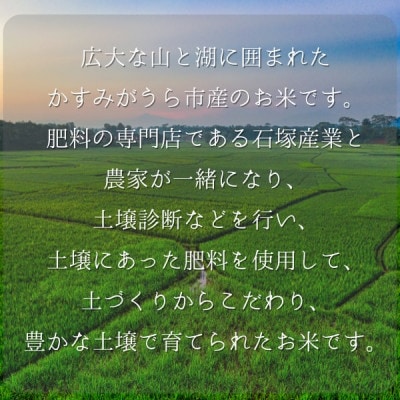 極上ふるさと米　精米5kg【配送不可地域：離島・北海道・沖縄県】【1703564】