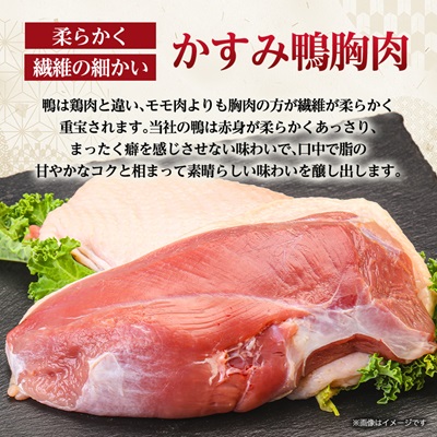 かすみ鴨むね肉　1羽分(800g〜900g程度)【配送不可地域：離島】【1563885】