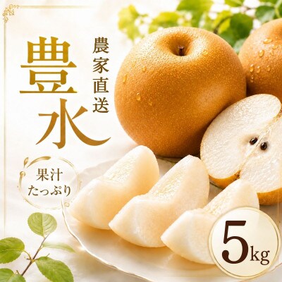 豊水 梨 5kg 8〜12玉 【2026年収穫分】 梨 なし かすみがうら市【1732409】