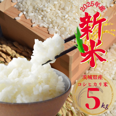 2025年 茨城県産 コシヒカリ米(精米)5kg【1620168】