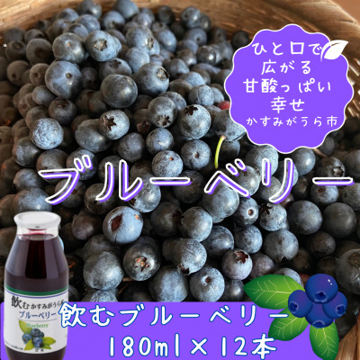 かすみがうら産　飲むブルーベリー　180ml×12本【1377970】