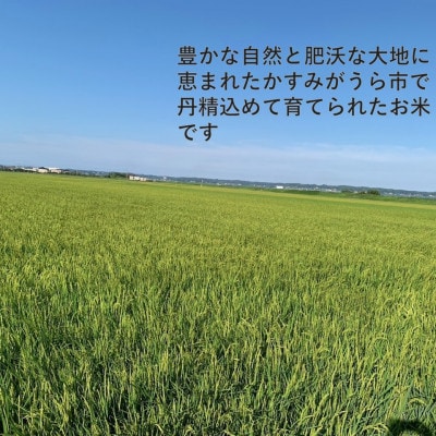 【毎月定期便】茨城県かすみがうら市産　精米　コシヒカリ5kg全3回【4076522】