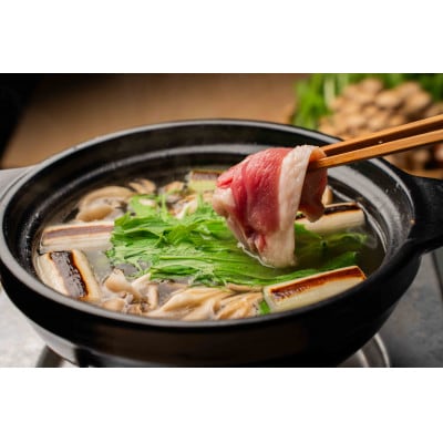 鴨鍋の素4人前(鴨スープとムネ肉1羽分(2枚)のセット)【配送不可地域：離島】【1706049】