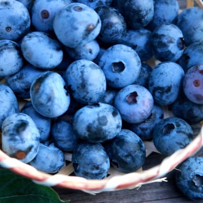 『ブルーベリーやすだ』ブルーベリージャム　6個セット【1439641】