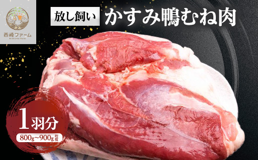 かすみ鴨むね肉　1羽分(800g〜900g程度)【配送不可地域：離島】【1563885】