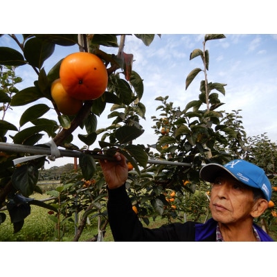 æ¿ æ©ç(ãã) 3çš®ã»ãã 9ã12å(çŽ3.5kg)ã1698830ã