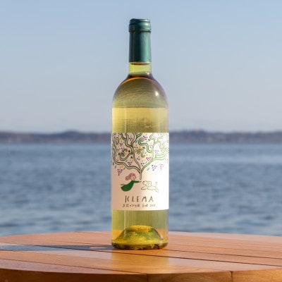 KLEMA 立花ブドウ園 巨峰 2025 白ワイン 750ml×1本【1704016】