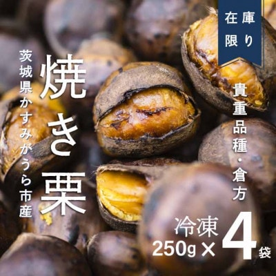 ãèš³ããå¢éã貎éåçš®ãåæ¹ãã®çŒãæ ãããã250gÃ4ã»ãã(å·å)ãé
éäžå¯å°åïŒé¢å³¶ãã1320086ã