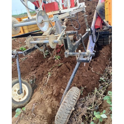 さつまいも(紅はるか)5kg【1597505】