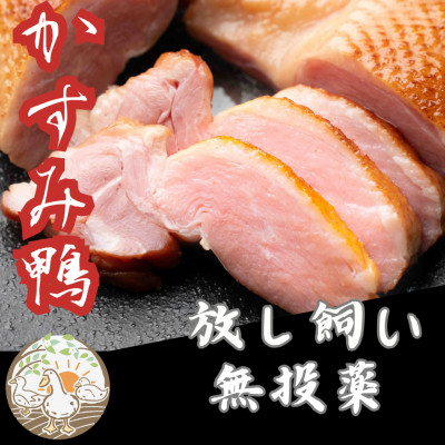 かすみ鴨　ムネ肉のスモーク　1枚(200g)【配送不可地域：離島】【1563883】