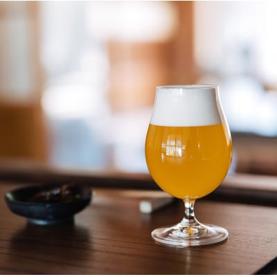 クラフトビール ラガー 計990ml 3本セット【配送不可地域：離島】【1651427】