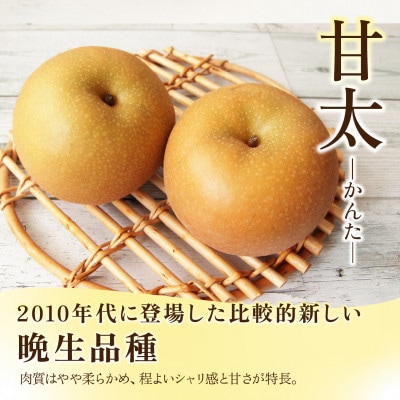 ç倪 梚 3kg 6ã10ç ã2026幎åç©«åãããã¿ãããåžãé
éäžå¯å°åïŒé¢å³¶ã»æ²çžçãã1757991ã