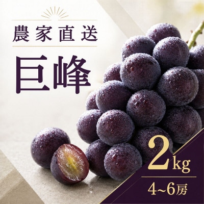 農家直送 巨峰 4〜6房 2kg 種あり【2026年発送】茨城県 かすみがうら市【配送不可地域：離島・沖縄県】【1732413】