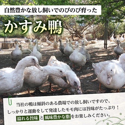 かすみ鴨モモ肉　1羽分×2パック(計2羽分)【配送不可地域：離島】【1563884】