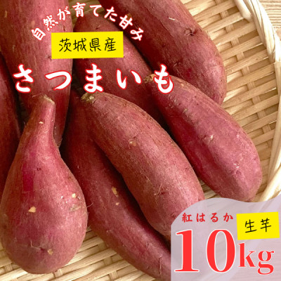 【茨城県産】生さつまいも 紅はるか 10Kg【1437617】