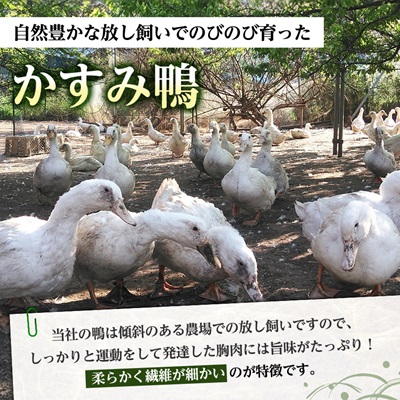 かすみ鴨むね肉　1羽分(800g〜900g程度)【配送不可地域：離島】【1563885】