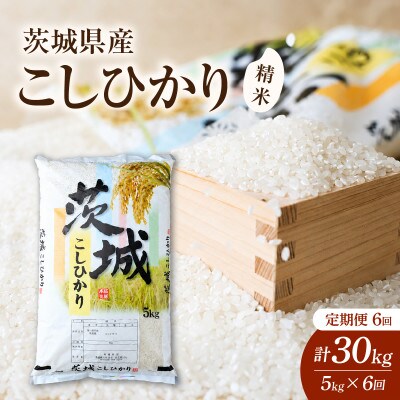 【毎月定期便】茨城県かすみがうら市産　精米　コシヒカリ5kg全6回【4076523】