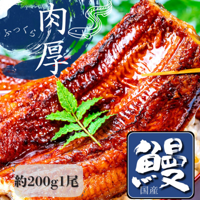 熟練された職人が作る「炭火焼き　国産うなぎ蒲焼」大サイズ約200g×1尾【配送不可地域：離島】【1378497】