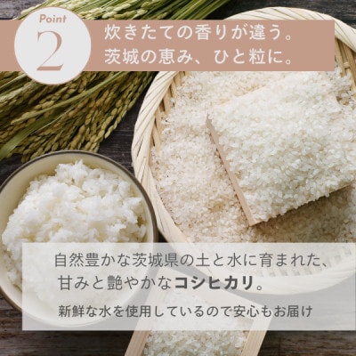 2025年 茨城県産 コシヒカリ米(精米)5kg【1620168】