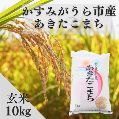 令和7年産かすみがうら市産あきたこまち  玄米  10kg【1666722】