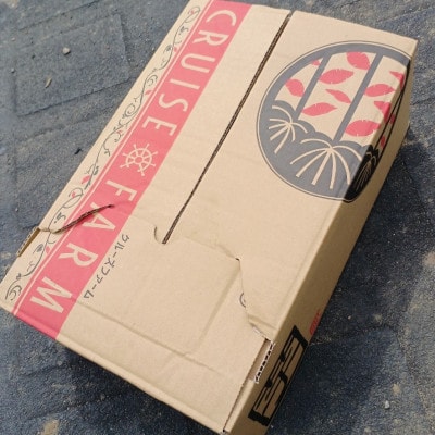 さつまいも(シルクスイート5kg)【1597491】