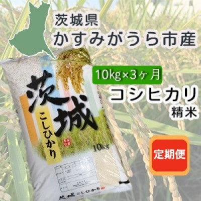 【毎月定期便】茨城県かすみがうら産　精米　コシヒカリ10kg全3回【4076524】