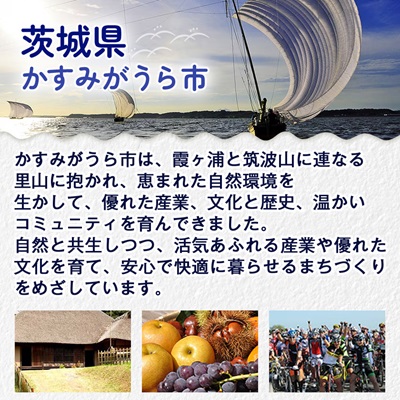 かすみ鴨モモ肉　1羽分×2パック(計2羽分)【配送不可地域：離島】【1563884】