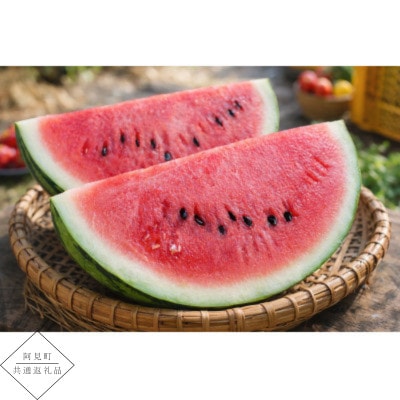 【阿見町共通返礼品】茨城県阿見町産大玉すいか(羅王ザ・スイート)4L(1玉)1箱9〜10kg【1713065】