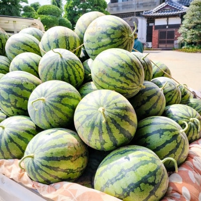 【阿見町共通返礼品】茨城県阿見町産大玉すいか(羅王ザ・スイート)4L(1玉)1箱9〜10kg【1713065】